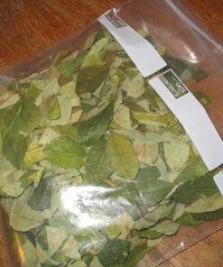 Buy Coca Leaves Online From Canada